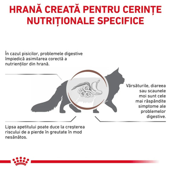 Royal Canin Gastrointestinal Cat – Hrană Uscată Dietetică pentru Pisici cu Probleme Digestive, 4 kg